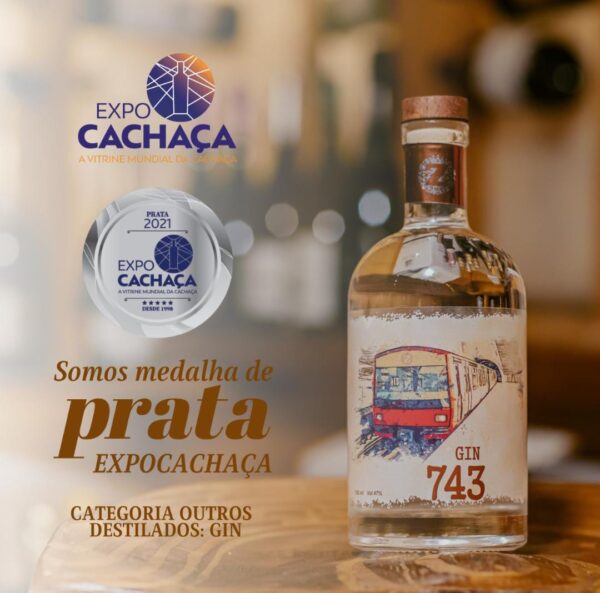 Gin Zucchi - Image 4